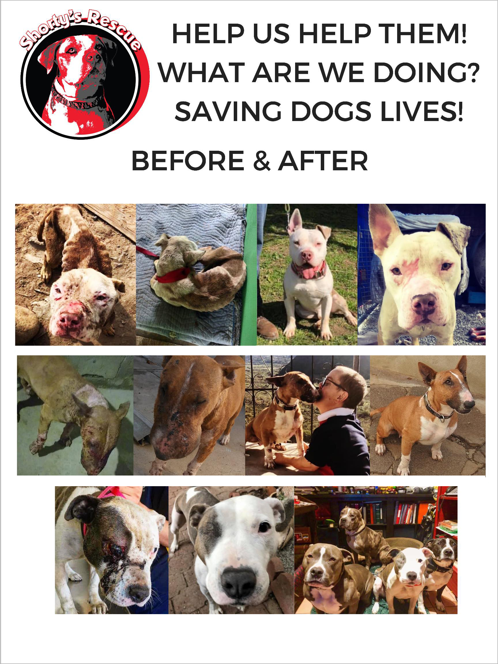 Help Us Help Them --Saving Dogs' Lives