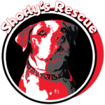 Shorty's Rescue